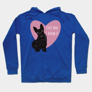 Cute and I Know It Hoodie